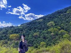 -大觉寺-停车场