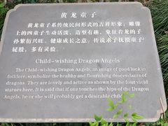 -杭州黄龙洞