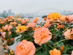 -龙美术馆(西岸馆)