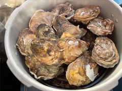 高压锅蒸蚝-千岛蚝高压锅生蚝·人参火锅(白云万达店)