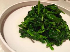 清炒豌豆尖-四季民福烤鸭店(故宫店)