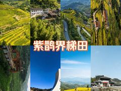 -紫鹊界梯田景区