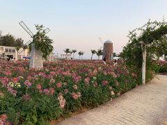 -玫瑰海岸文化旅游度假区