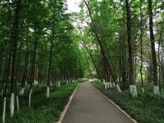 -桤木河湿地公园