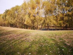 -长白岛森林公园