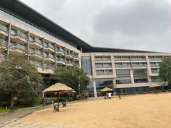 -上海佘山世茂艾美酒店