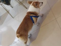 -平行世界·猫咖(首经贸店)