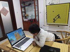 -秦汉胡同国学书院(天鹅湾分馆)