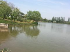 -上海长兴岛郊野公园