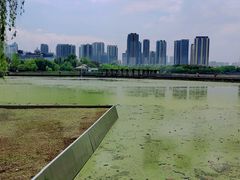 -月湖风景区