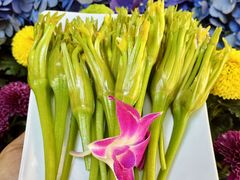 -食全酒美·野生菌腊排骨餐厅(木府店)