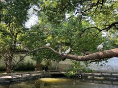 -西园戒幢律寺
