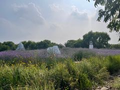 -梁鸿国家湿地公园