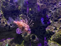 -太平洋海底世界