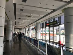 -上海旅游集散中心(万体站)