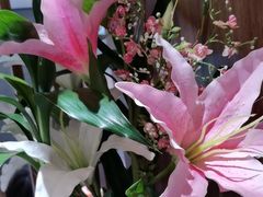 -鑫小城故事·藕汤·家常菜(台北一路总店)