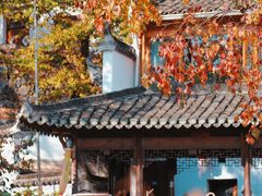 -塔川景区
