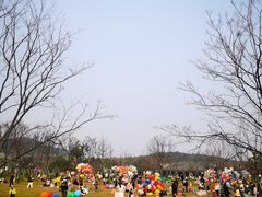 -星巴克臻选(杭州良渚文化村店)