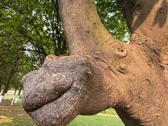 -艾溪湖湿地公园