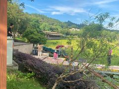 -红山村