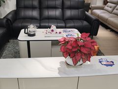 -香江家居品牌工厂批发城