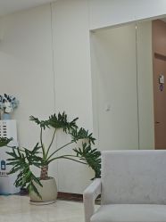 -上海伊莱美医疗美容医院