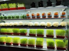 -番食园鲜食火锅(高新店)