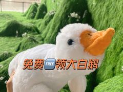 -小米之家(渝中龙湖时代天街店)