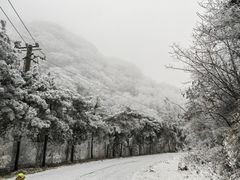 -西安祥峪森林公园