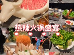 -德天肥牛海鲜火锅(城西银泰店)
