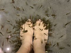 -中家鑫园温泉酒店鑫悦汤泉