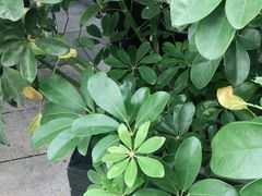 -星巴克(江阴万达店)