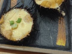 -海胆小馆(东北水饺·春柳店)