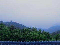-梧桐山风景名胜区