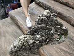 -塔云山