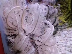 -水上乐园·欢乐世界