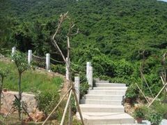 -小南山公园