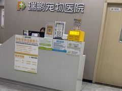 -瑞鹏宠物医院·骨外科·心肾科·肿瘤科(九亭店)