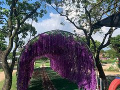 -长洲岛都市农业公园