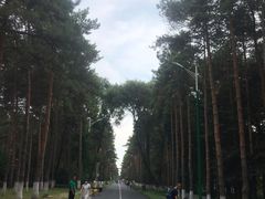 -黑龙江省森林植物园