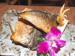 -渔井食堂(新洲店)
