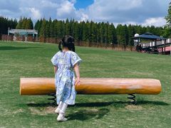 -黄海国家森林公园