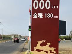 -御道口草原森林风景区