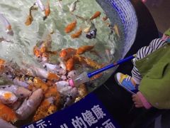 -烟台海昌鲸鲨海洋公园