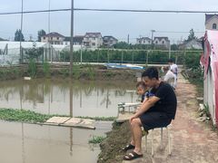 -南汇老顾农家乐采摘大团水蜜桃采摘店