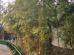 -宣武艺园
