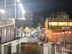 -丁香湖丁香小镇Citypark滑雪公园戏雪嘉年华