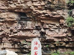 -爱情山风景区