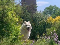 -乐琪宠物(青塔西路店)