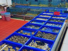 -双月饭店·20年老字号(新村店)